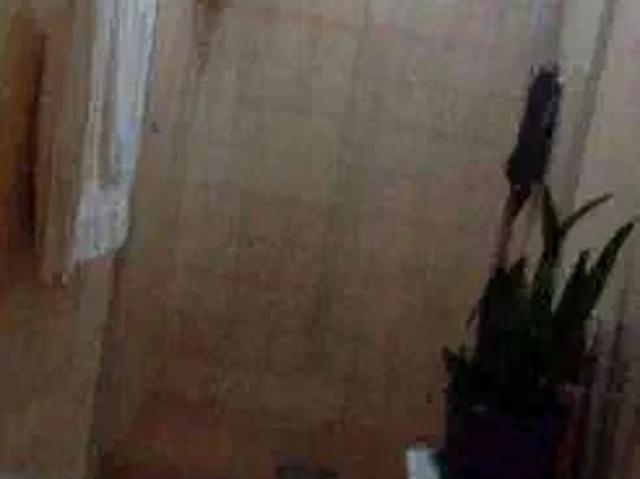 Casa / Sobrado para Venda em São Paulo/SP Belenzinho 2 Quartos