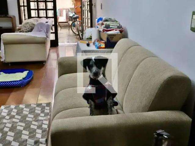 Casa / Sobrado para Venda em São Paulo/SP Canindé 4 Quartos