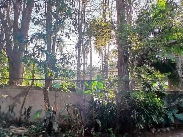 Casa / Sobrado para Venda em São Paulo/SP Chácara Monte Alegre 3 Quartos