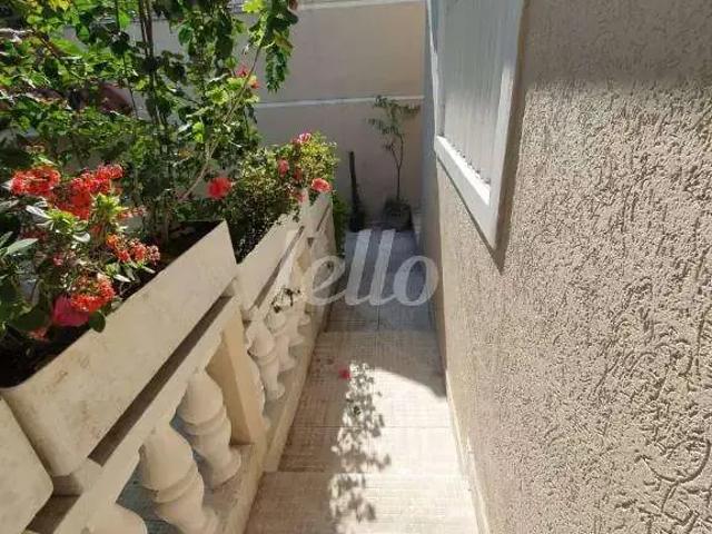 Casa / Sobrado para Venda em São Paulo/SP Cidade Patriarca 4 Quartos