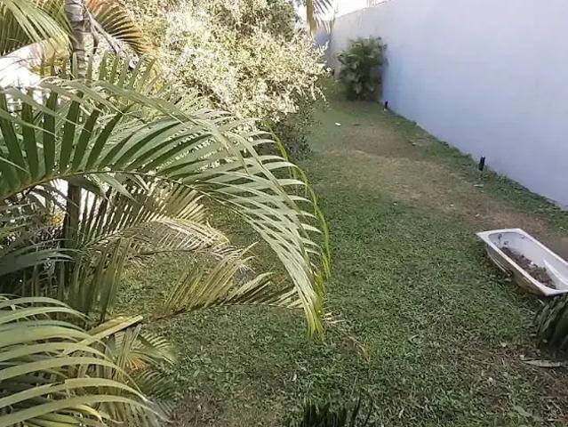 Casa / Sobrado para Venda em São Paulo/SP Horto Florestal 4 Quartos