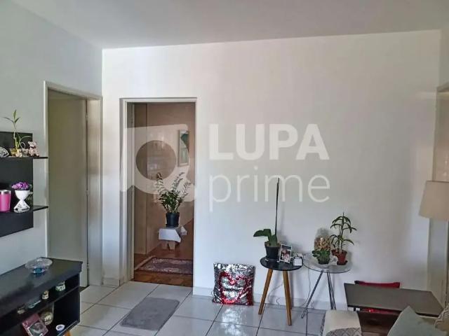 Casa / Sobrado para Venda em São Paulo/SP Horto Florestal 8 Quartos