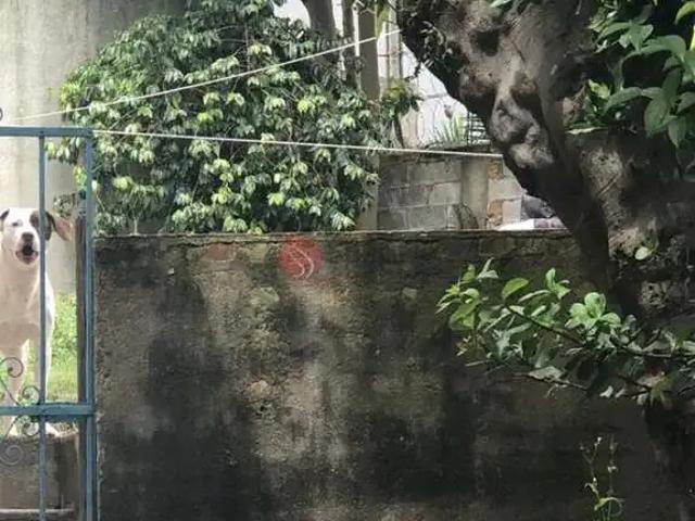 Casa / Sobrado para Venda em São Paulo/SP Jardim Anália Franco 2 Quartos