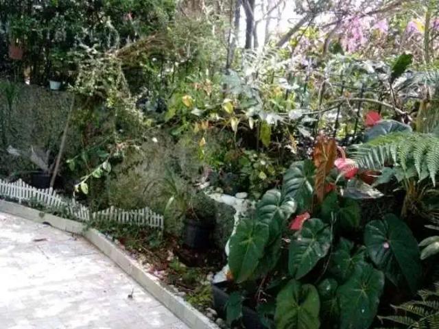 Casa / Sobrado para Venda em São Paulo/SP Jardim Bichinhos 3 Quartos