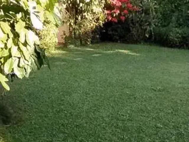 Casa / Sobrado para Venda em São Paulo/SP Jardim Guedala 5 Quartos