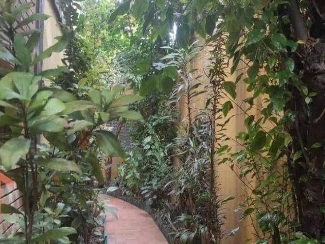 Casa / Sobrado para Venda em São Paulo/SP Jardim da Saude 4 Quartos
