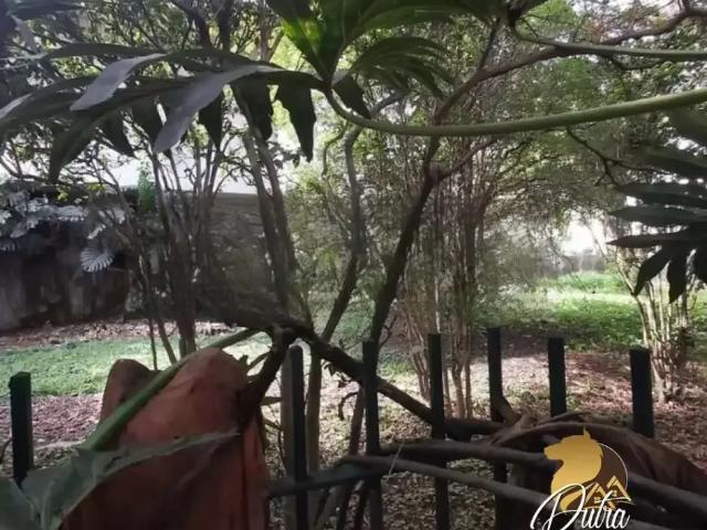 Casa / Sobrado para Venda em São Paulo/SP Jardim Europa 4 Quartos