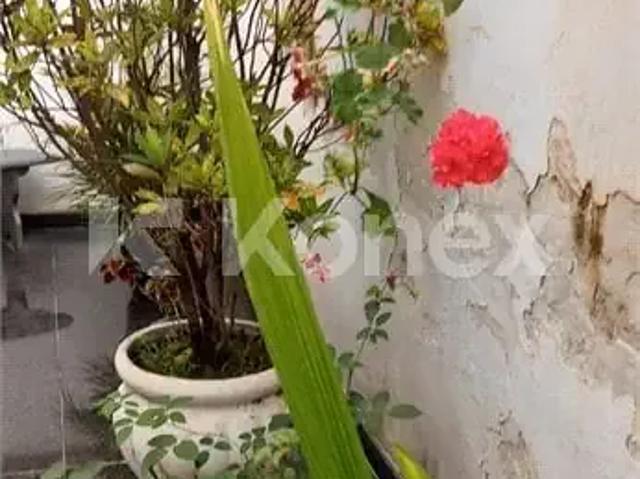 Casa / Sobrado para Venda em São Paulo/SP Jardim Franca 4 Quartos