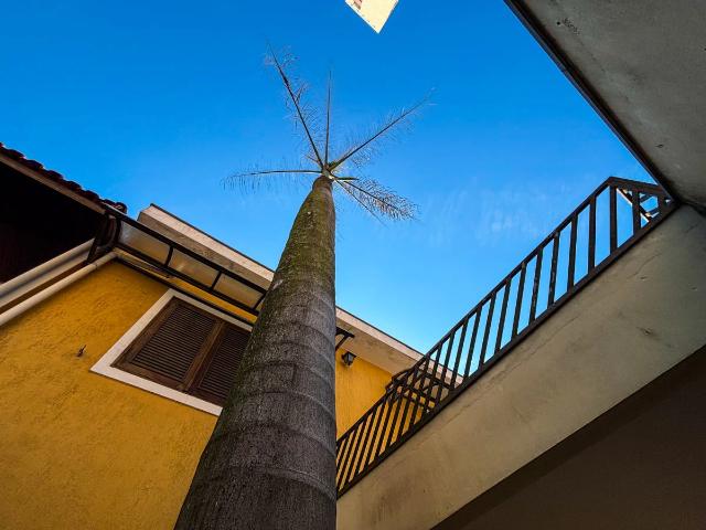 Casa / Sobrado para Venda em São Paulo/SP Jardim Juá 3 Quartos