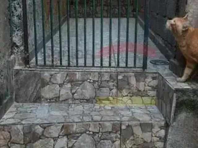 Casa / Sobrado para Venda em São Paulo/SP Jardim Paraguaçu 2 Quartos