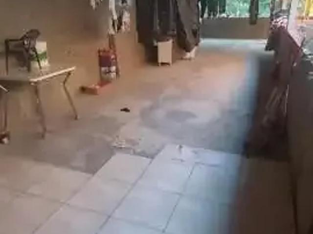 Casa / Sobrado para Venda em São Paulo/SP Jardim Vitória 2 Quartos