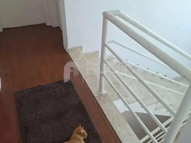Casa / Sobrado para Venda em São Paulo/SP Jardim Virgínia Bianca 4 Quartos