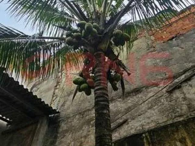 Casa / Sobrado para Venda em São Paulo/SP Lauzane Paulista 3 Quartos
