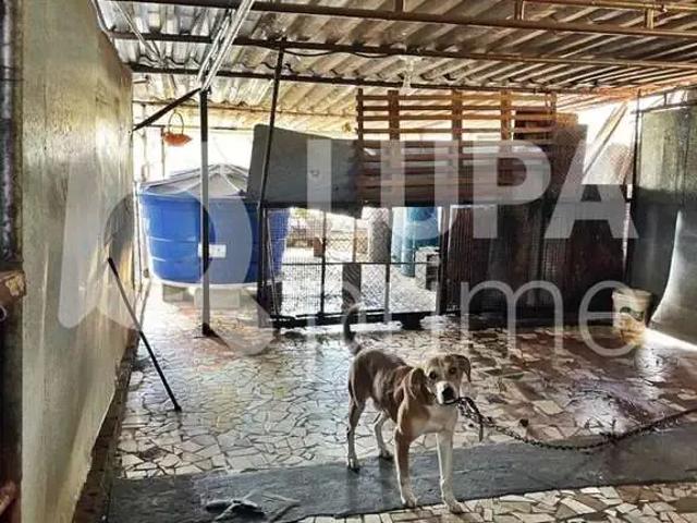 Casa / Sobrado para Venda em São Paulo/SP Parque Novo Mundo 3 Quartos