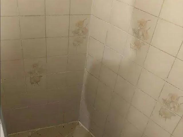 Casa / Sobrado para Venda em São Paulo/SP Parque São Domingos 1 Quartos