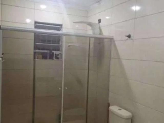 Casa / Sobrado para Venda em São Paulo/SP Parque Panamericano 3 Quartos