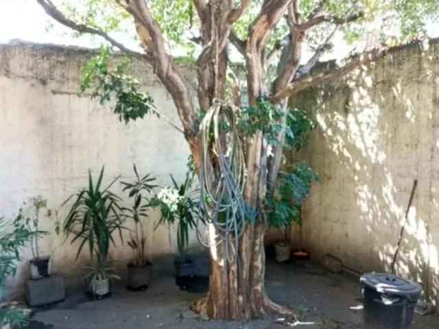 Casa / Sobrado para Venda em São Paulo/SP Parque Primavera 2 Quartos
