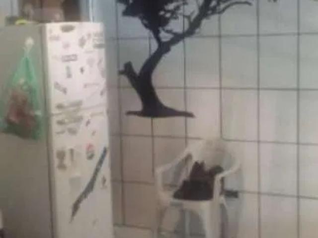 Casa / Sobrado para Venda em São Paulo/SP Raposo Tavares 3 Quartos