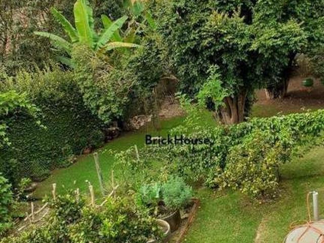 Casa / Sobrado para Venda em São Roque/SP Vila Holf São João Novo 3 Quartos