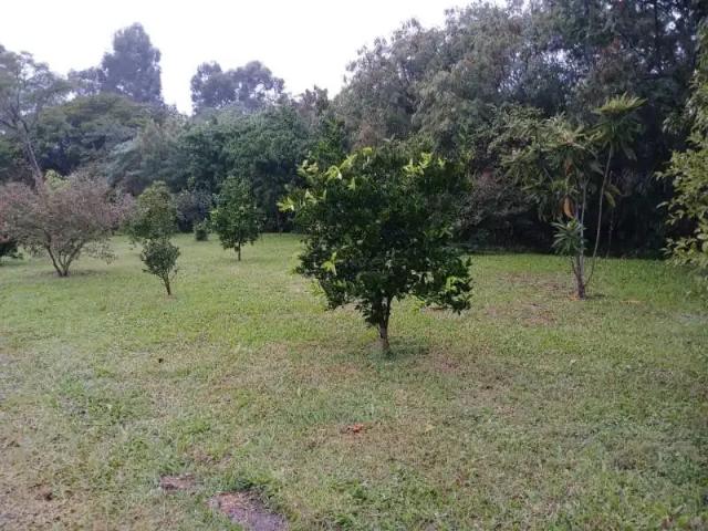 Casa / Sobrado para Venda em Santa Maria/RS Nossa Senhora Medianeira 2 Quartos