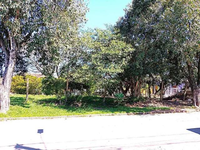 Casa / Sobrado para Venda em Santa Maria/RS Juscelino Kubitschek 3 Quartos
