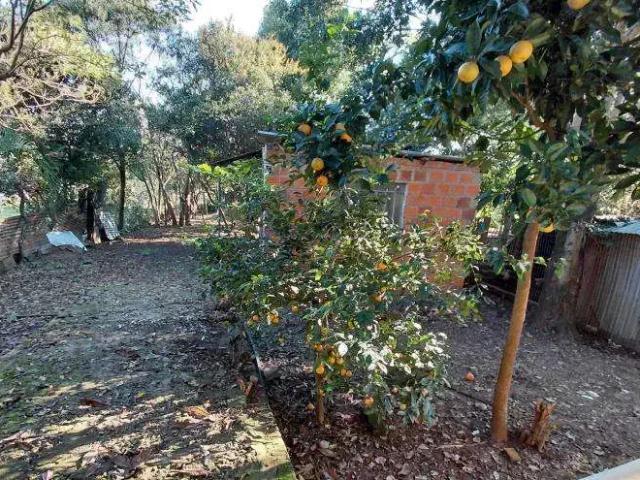 Casa / Sobrado para Venda em Santa Maria/RS Tomazetti 2 Quartos