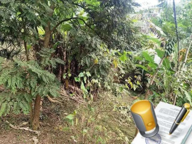 Casa / Sobrado para Venda em Santana de Parnaíba/SP Jardim Rancho Alegre 4 Quartos
