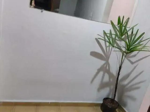 Casa / Sobrado para Venda em Santo André/SP Vila São Pedro 2 Quartos