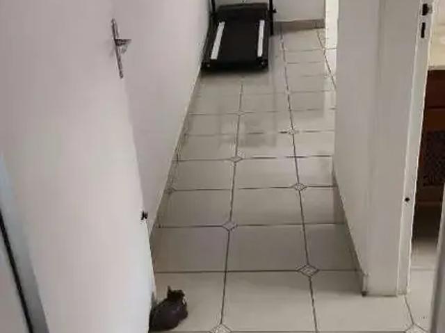 Casa / Sobrado para Venda em Santo André/SP Vila Pires 3 Quartos