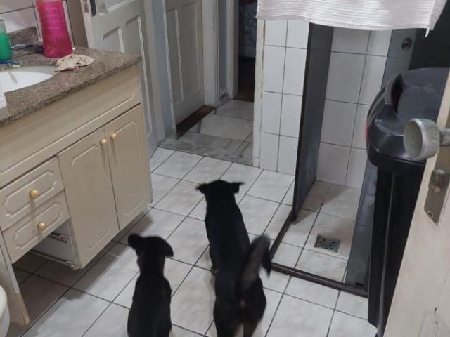 Casa / Sobrado para Venda em Santos/SP Marapé 3 Quartos