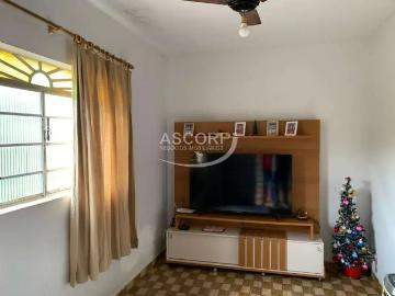 Casa / Sobrado para Venda em Saltinho/SP São Judas Tadeu 3 Quartos