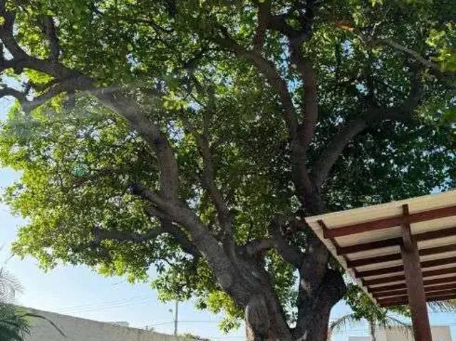 Casa / Sobrado para Venda em Salinópolis/PA Centro 2 Quartos