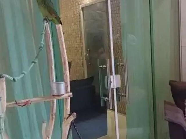 Casa / Sobrado para Venda em Simões Filho/BA CIA 2 Quartos