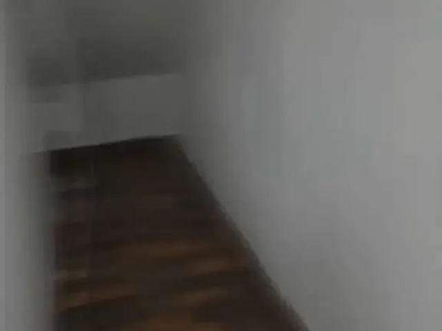 Casa / Sobrado para Locação em Cotia/SP Jardim do Rio Cotia 2 Quartos
