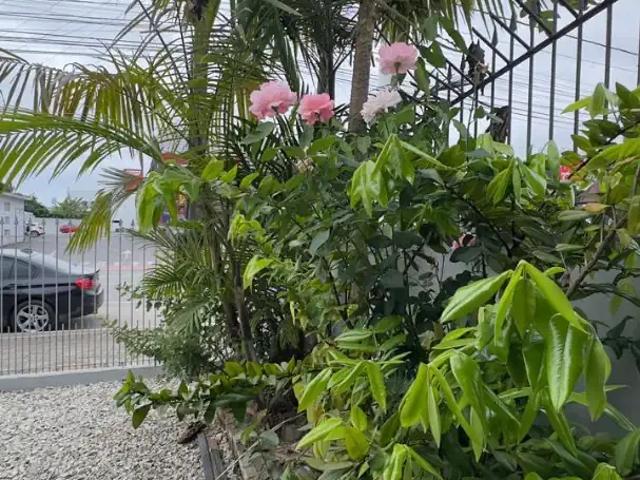 Casa / Sobrado para Locação em Camboriú/SC Tabuleiro 3 Quartos