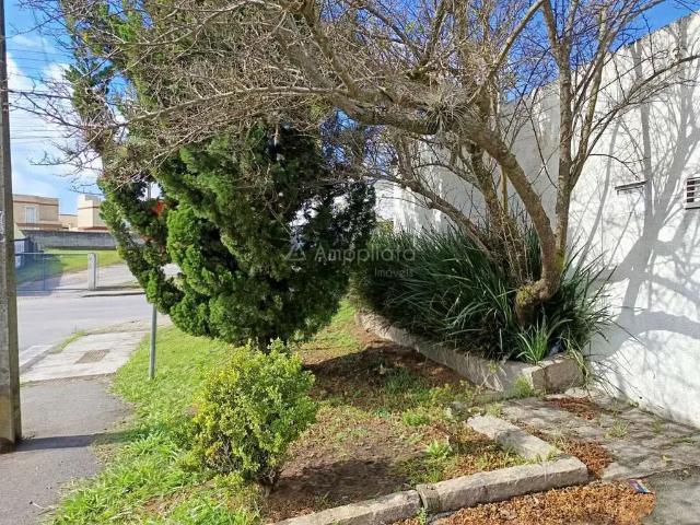 Casa / Sobrado para Locação em Campina Grande do Sul/PR Jardim Paulista 3 Quartos