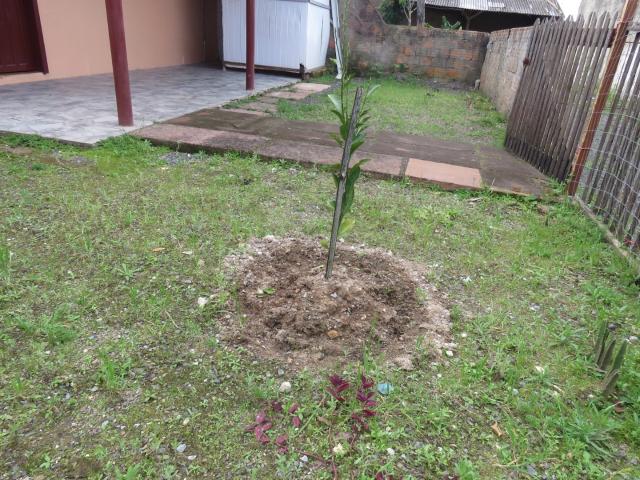 Casa / Sobrado para Locação em Canoas/RS Harmonia 1 Quartos