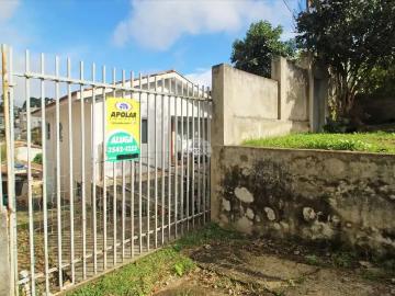 Bairro Alto, Pinhais, Balneário Piçarras