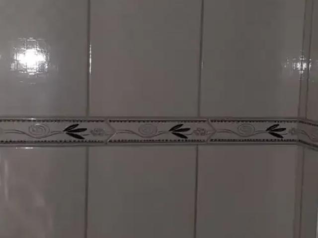 Casa / Sobrado para Locação em Curitiba/PR Butiatuvinha 2 Quartos