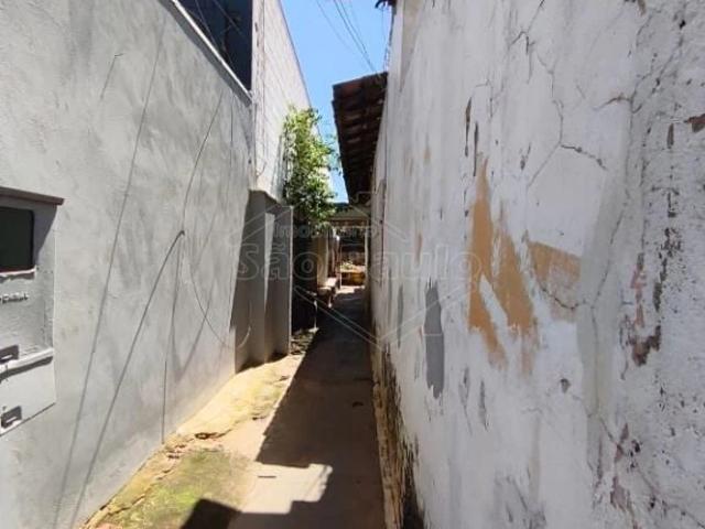 Casa / Sobrado para Locação em Américo Brasiliense/SP Centro 3 Quartos