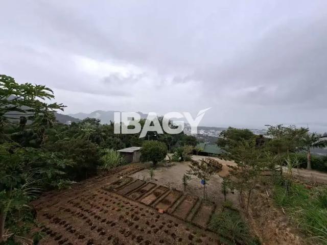 Casa / Sobrado para Locação em Biguaçu/SC Boa Vista 2 Quartos