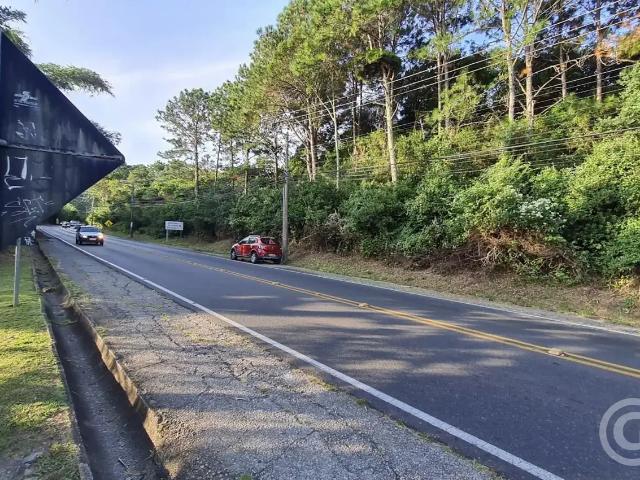 Casa / Sobrado para Locação em Florianópolis/SC Praia Mole 3 Quartos