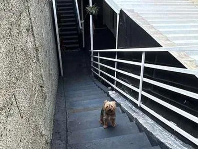 Casa / Sobrado para Locação em Osasco/SP Bussocaba 1 Quartos