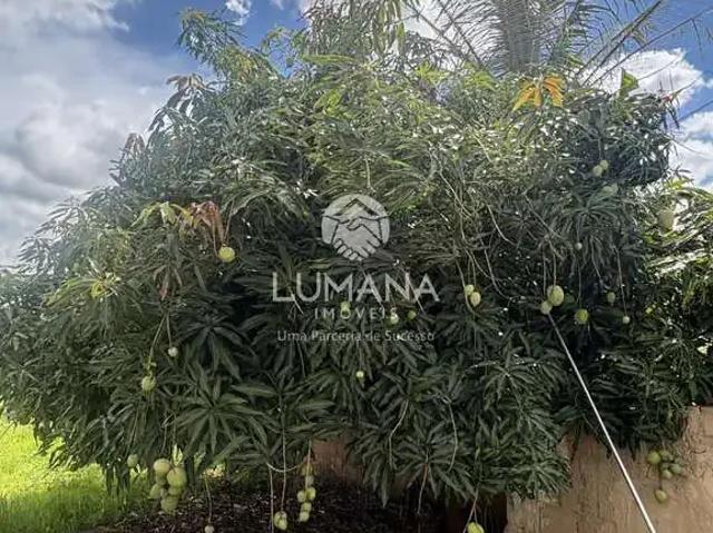 Casa / Sobrado para Locação em Lagoa Santa/MG Várzea 5 Quartos
