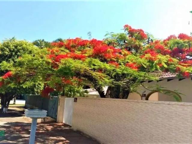 Casa / Sobrado para Locação em Matinhos/PR Centro 3 Quartos