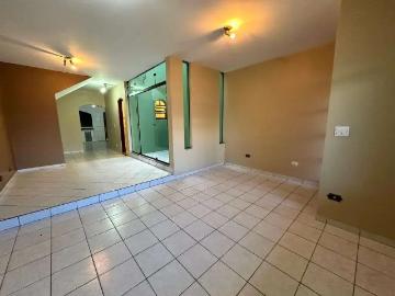 Casa / Sobrado para Locação em São Bernardo do Campo/SP Nova Petrópolis 4 Quartos