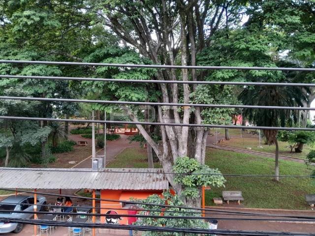 Casa / Sobrado para Locação em São Carlos/SP Centro 4 Quartos