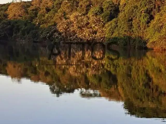 Casa / Sobrado para Locação em São Carlos/SP Parque Itaipu 3 Quartos