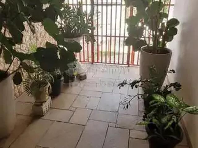 Casa / Sobrado para Locação em São José do Rio Preto/SP Centro 6 Quartos