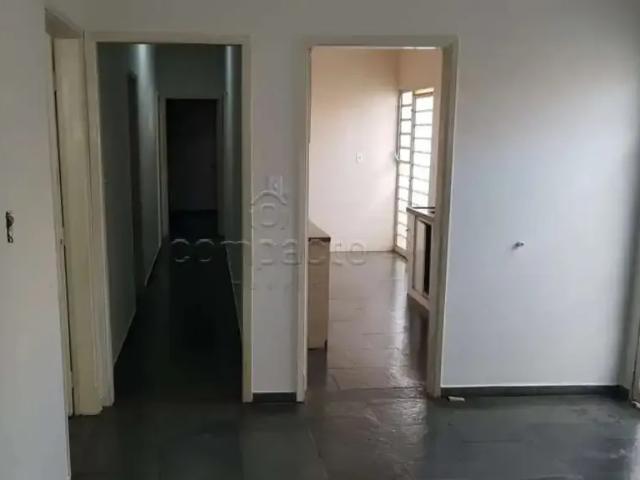 Casa / Sobrado para Locação em São José do Rio Preto/SP Vila Nossa Senhora Aparecida 4 Quartos
